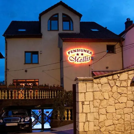 בית הארחה Pension Mellis Napoca 2*
