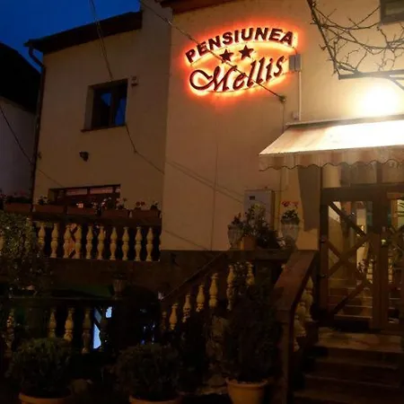 בית הארחה Pension Mellis Napoca 2*