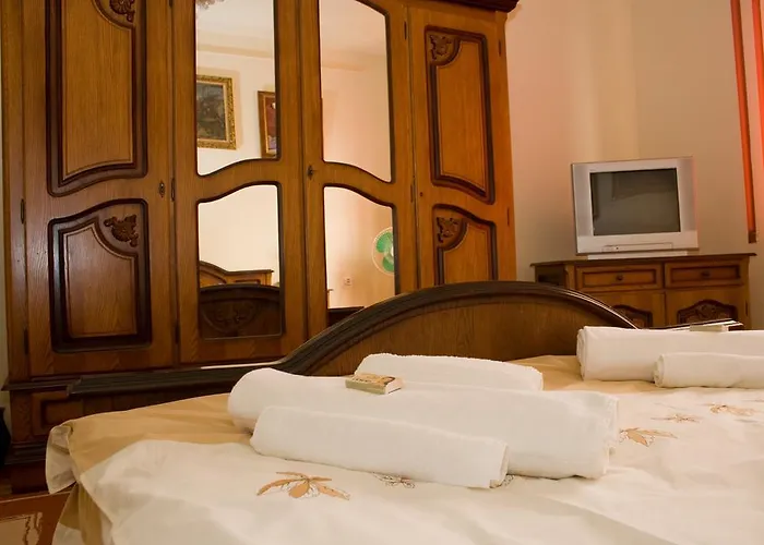 Pension Mellis Napoca بيت ضيافة