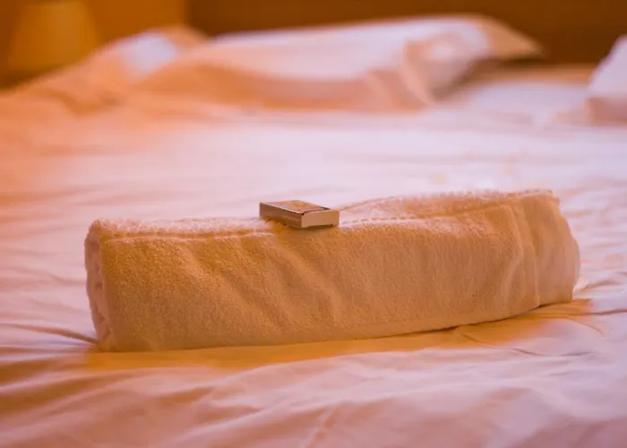 Pension Mellis Napoca 2* كلوج-نابوكا