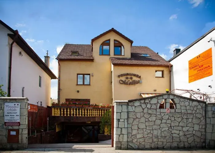 Pension Mellis Napoca بيت ضيافة 2*