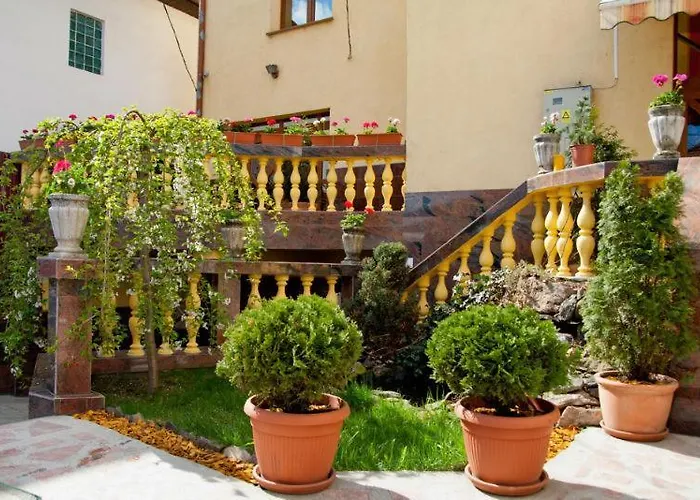 Pension Mellis Napoca בית הארחה קלוז'-נאפוקה