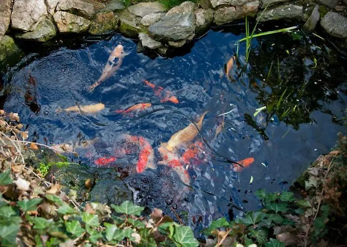 Pension Mellis Napoca