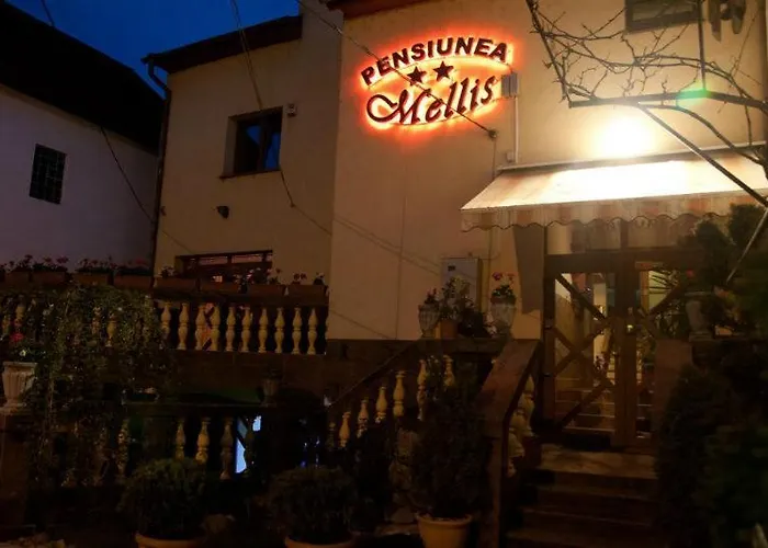 بيت ضيافة Pension Mellis Napoca 2*